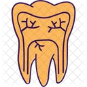Tooth Teeth Root Canal Icon