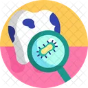 Tooth Bacteria Bacteria Tooth Germ Icon