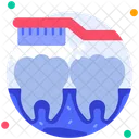 Toothbrush Clean Hygiene Icon