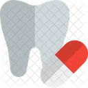 Tooth Capsule  Icon