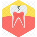 Tooth Cavity Dental Icon
