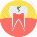 Tooth Cavity Tooth Germs Bacteria Icon