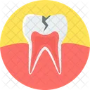 Tooth Cavity Tooth Cavity Icon