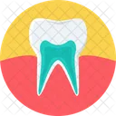 Tooth Cavity Tooth Cavity Icon