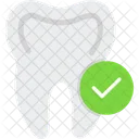 Tooth Check Dental Check Dentist Icon