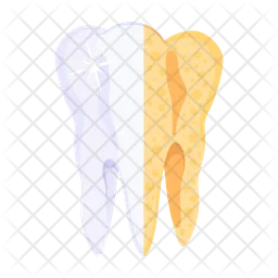 Tooth Checkup  Icon