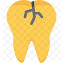 Tooth crack  Icon