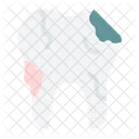 Tooth decay  Icon