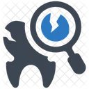 Tooth Decay Broken Decay Icon