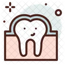 Tooth Enamel Tooth Dental Icon