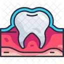 Tooth Enamel  Icon