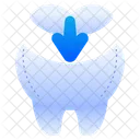 Tooth Filling Dental Filling Dental Care Icon