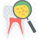 Tooth Germs  Icon