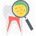 Tooth Germs Tooth Germs Icon