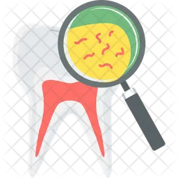 Tooth germs  Icon