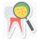 Tooth Germs Dental Icon