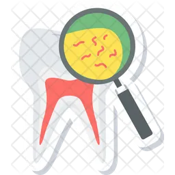 Tooth Germs  Icon