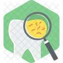 Tooth Germs Tooth Germs Icon