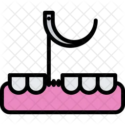 Tooth Gingiva  Icon