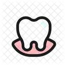 Tooth Gum  Icon