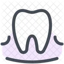 Tooth Gum Icon