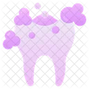 Tooth Hygiene Dental Care Dentist Icon