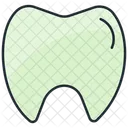 Tooth  Icon