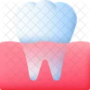 Tooth Dental Dentist Icon