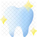 Tooth Dental Dentist Icon