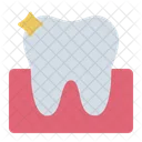 Tooth Dental Organ Icon