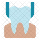 Extraction Tooth Oil Icon