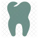 Tooth Anatomy Teeth Icon