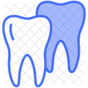 Tooth Teeth Dentist Icon