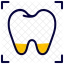 Domography Tooth Xray アイコン