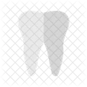 Tooth Medical Health Icon