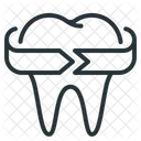 Tooth Dentistry Stomatology Icon