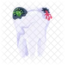 Tooth Infection  Icon