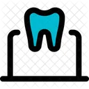 Tooth Laptop  Icon