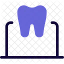 Tooth Laptop  Icon