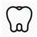 Tooth Molar  Icon