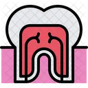 Tooth Nerve  Icon