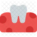 Tooth On Gum  Icon