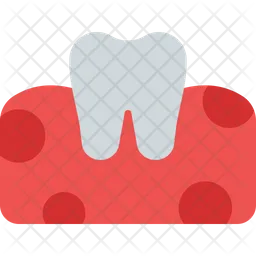 Tooth On Gum  Icon