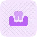 Tooth On Gum Icon