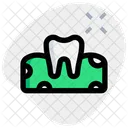 Tooth On Gum Icon