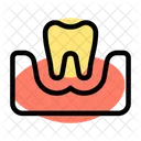 Tooth On Gum Two  Icon
