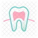 Tooth Root Tooth Root Icon