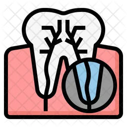 Tooth root  Icon