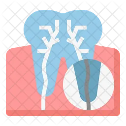 Tooth root  Icon