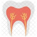 Tooth Roots Pulp Icon